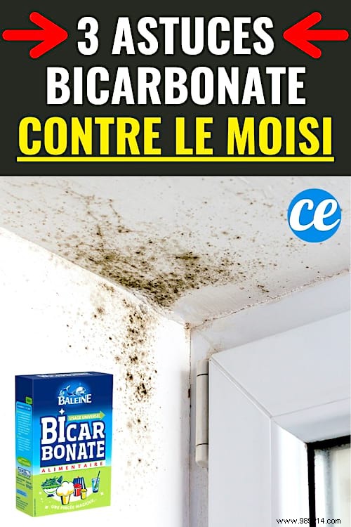 3 Proven Baking Soda Hacks to Eliminate Stubborn Mold Stains