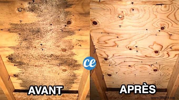 How to Remove Mold from Wooden Furniture: Simple Vinegar and Baking Soda Method