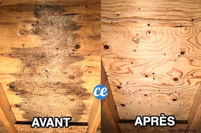 How to Remove Mold from Wooden Furniture: Simple Vinegar and Baking Soda Method