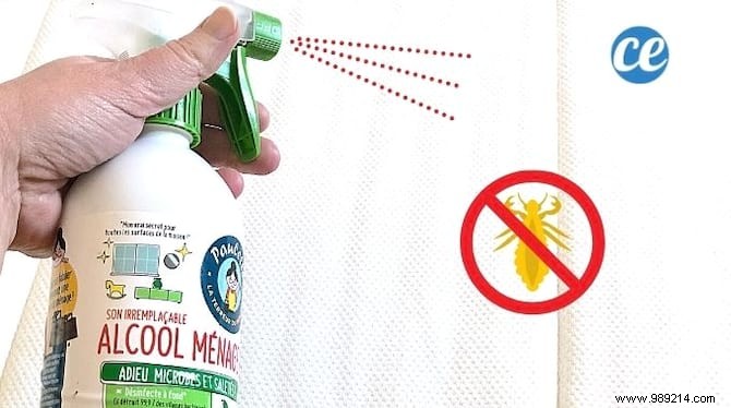 Expert Guide: How to Deeply Disinfect Your Mattress Naturally and Easily