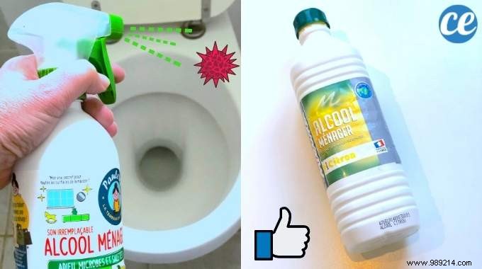 How to Disinfect and Deodorize Your Toilet Naturally – No Bleach Needed