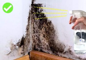 How to Effectively Remove Mold from Walls Using White Vinegar and Tea Tree Oil