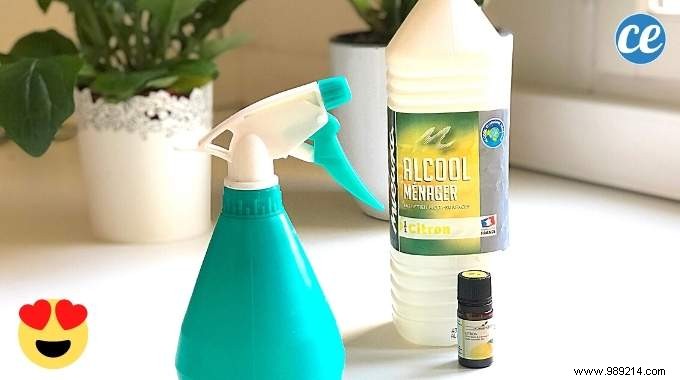 DIY Natural Air Freshener Spray: Grandmother s Recipe for a Fresh Home All Week