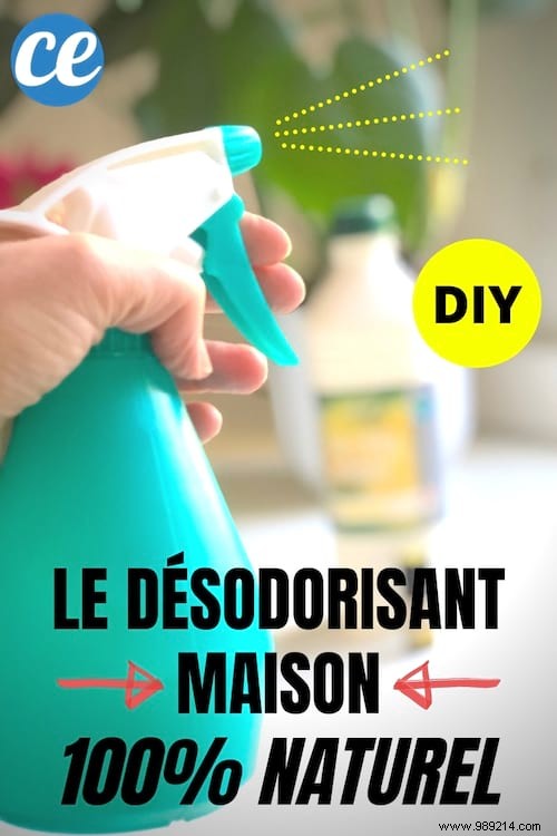 DIY Natural Air Freshener Spray: Grandmother s Recipe for a Fresh Home All Week