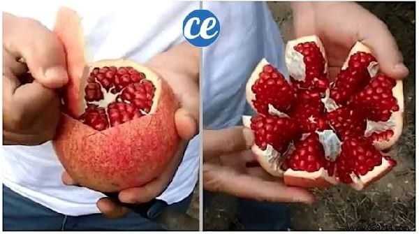 15 Proven Kitchen Hacks to Peel Fruits and Vegetables Effortlessly