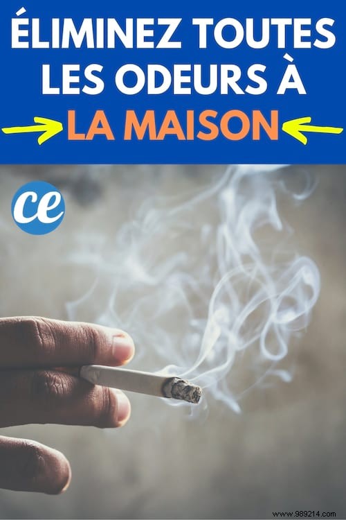 10 Proven Tips to Eliminate Bad Odors Throughout Your Home