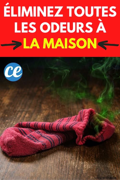 10 Proven Tips to Eliminate Bad Odors Throughout Your Home