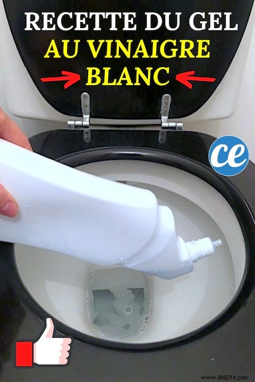 DIY White Vinegar Toilet Gel Recipe: More Powerful Than Harpic for Natural Descaling