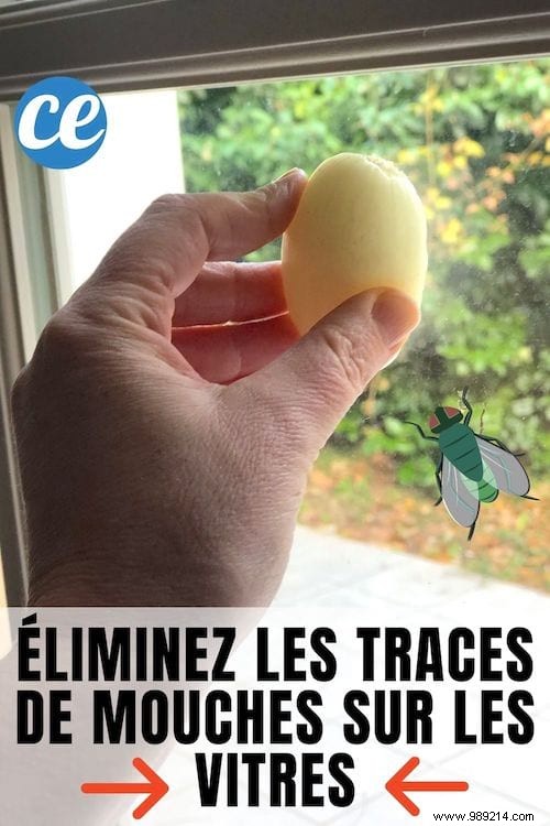 14 Proven DIY Recipes for Streak-Free Windows, Even in Direct Sunlight