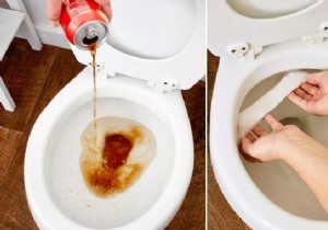 10 Proven Household Hacks for a Spotless, Stain-Free Toilet