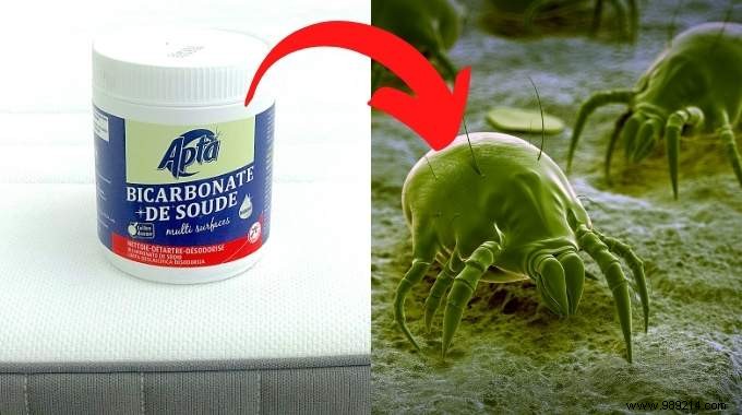 Proven Ways to Eliminate Dust Mites Naturally with Baking Soda