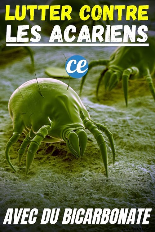 Proven Ways to Eliminate Dust Mites Naturally with Baking Soda