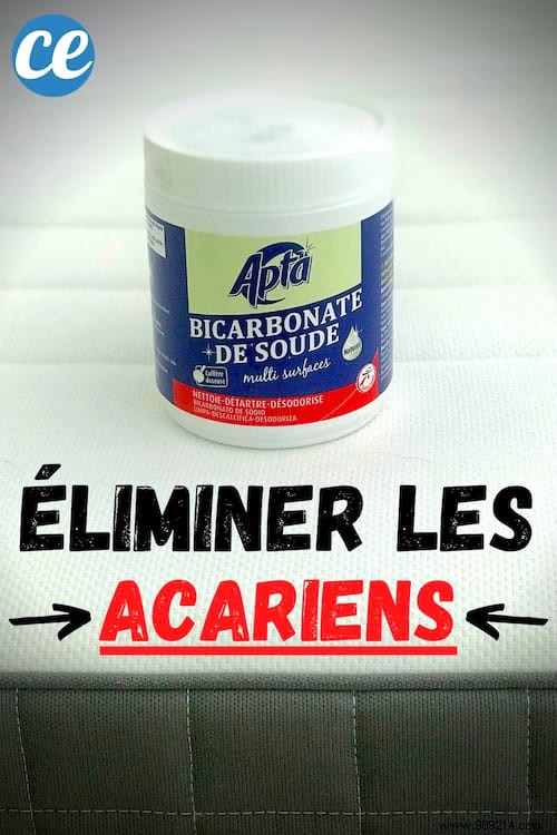 Proven Ways to Eliminate Dust Mites Naturally with Baking Soda