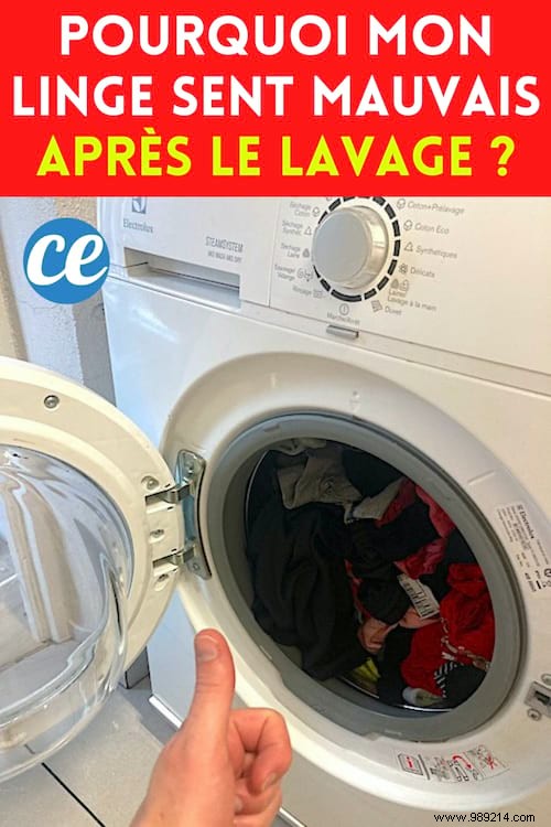 Why Your Laundry Smells Musty After Washing – 10 Proven Fixes from Laundry Pros