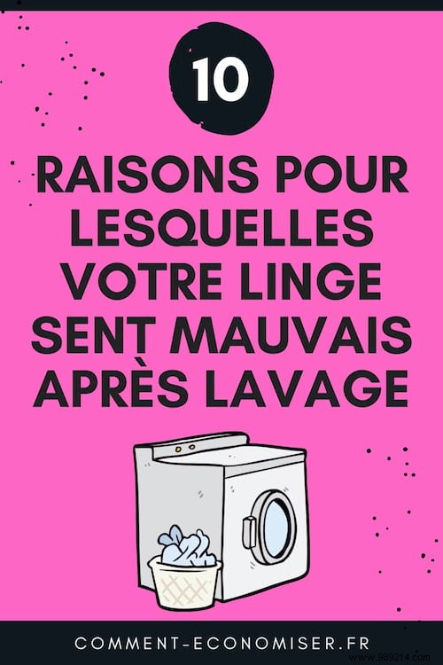 Why Your Laundry Smells Musty After Washing – 10 Proven Fixes from Laundry Pros