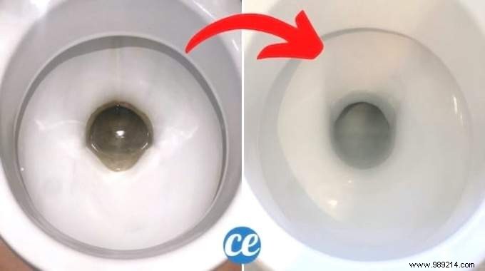 Remove Stubborn Toilet Limescale with Coca-Cola: No Scrubbing Needed