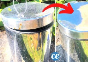 How to Clean Stainless Steel Trash Cans Streak-Free: My Proven 2-Month Trick