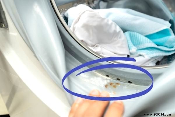 Powder vs. Liquid Laundry Detergent: Expert Guide to Choosing the Best for Your Clothes and Machine