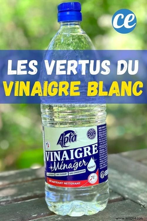 13 Proven Properties of White Vinegar: The Ultimate Eco-Friendly Essential