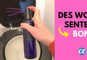 DIY Natural Toilet Deodorizer Spray: Long-Lasting Freshness Without Chemicals