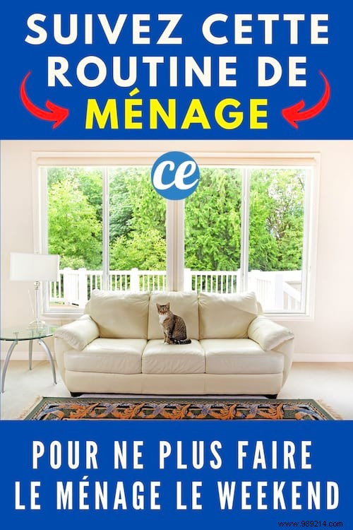 Reclaim Your Weekends: A Proven 20-Minute Daily Cleaning Routine