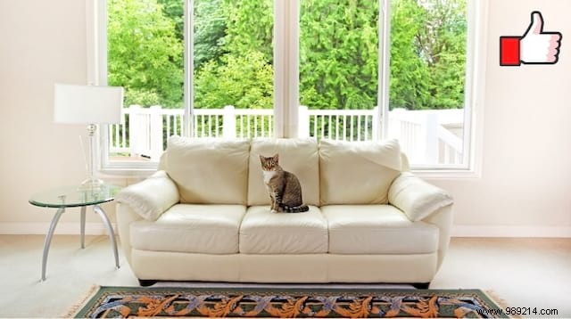 Reclaim Your Weekends: A Proven 20-Minute Daily Cleaning Routine