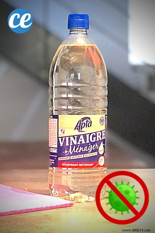 Does White Vinegar Disinfect? What Cleaning Experts Say
