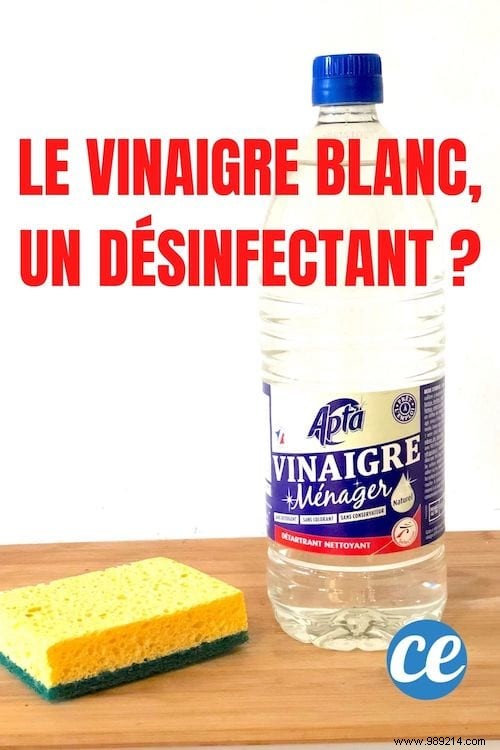 Does White Vinegar Disinfect? What Cleaning Experts Say