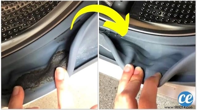 How to Effectively Remove Mold from Washing Machine Seals: Expert DIY Guide