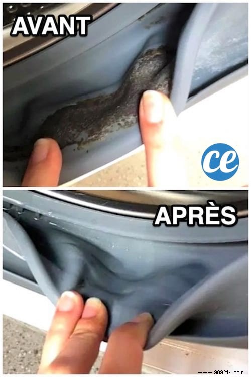 How to Effectively Remove Mold from Washing Machine Seals: Expert DIY Guide