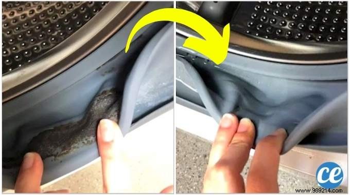 How to Effectively Remove Mold from Washing Machine Seals: Expert DIY Guide