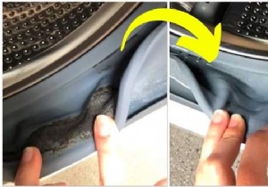 How to Effectively Remove Mold from Washing Machine Seals: Expert DIY Guide