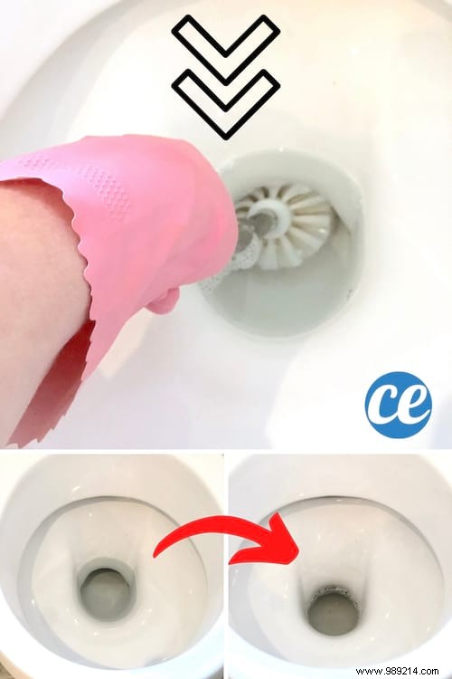 How to Drain Water from Your Toilet Bowl for Effective Deep Cleaning