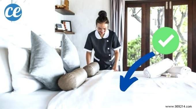 Professional Housekeeper s Guide: Clean Your Entire Home Quickly and Thoroughly