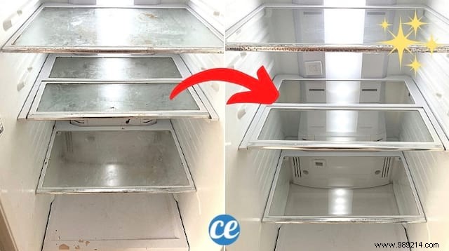 3 Proven Natural Tips for a Spotless Fridge: Grandma s Time-Tested Cleaning Secrets