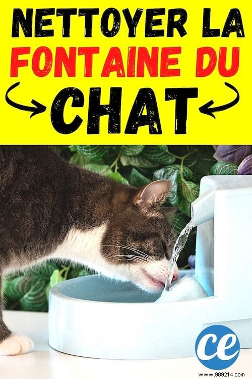 Proven White Vinegar Trick to Easily Clean and Descaling Your Cat s Water Fountain