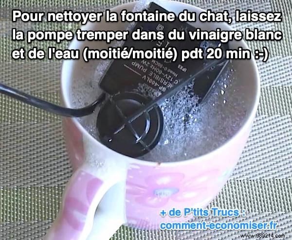 Proven White Vinegar Trick to Easily Clean and Descaling Your Cat s Water Fountain