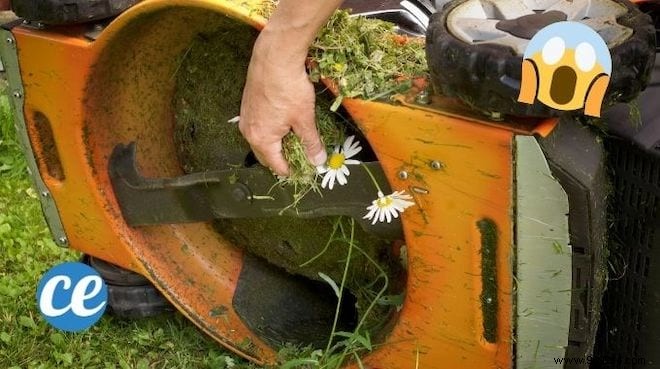 Effortless Way to Clean Grass Buildup from Your Lawnmower with Vinegar