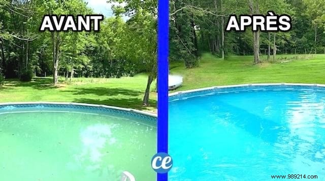 Expert 6-Step Guide: Keep Your Above-Ground Pool Water Crystal Clear Year-Round