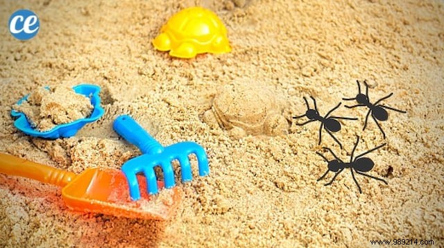 Eliminate Ants from Your Child s Sandbox: A Safe, Natural Baking Soda Solution
