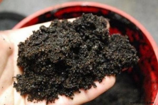 21 Essential Natural Cleaning Products for a Spotless Home – Proven Expert Tips