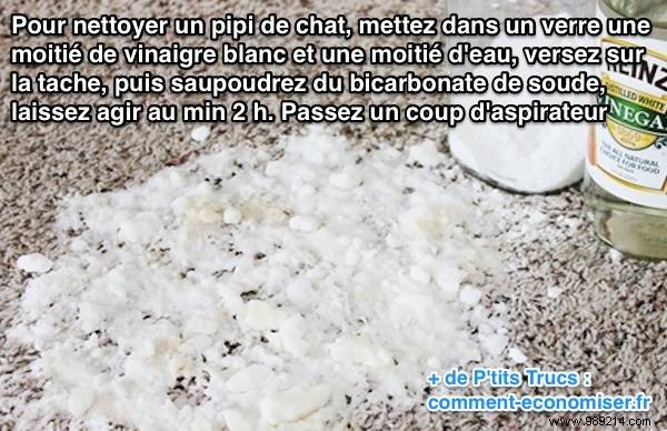 22 Proven White Vinegar Cleaning Hacks for a Spotless Home