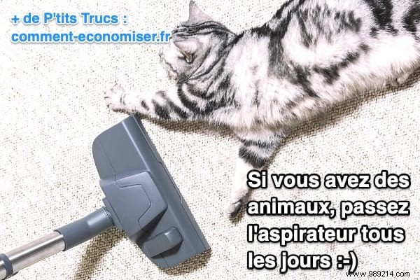 How Often Should You Vacuum Your Home? Expert Recommendations by Floor Type