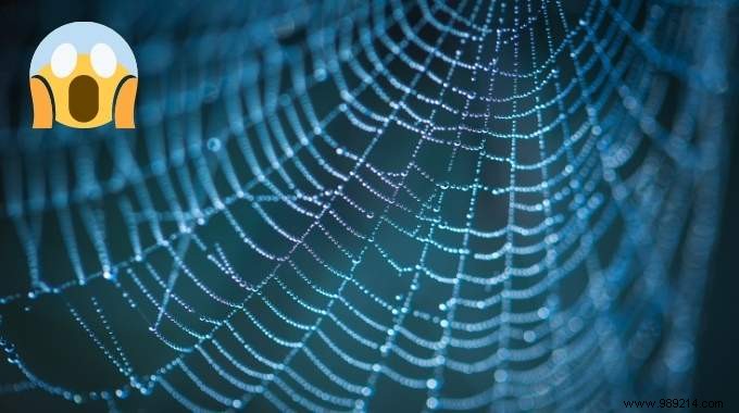 Easy Cobweb Removal Hack: Clean High Ceilings Without a Ladder