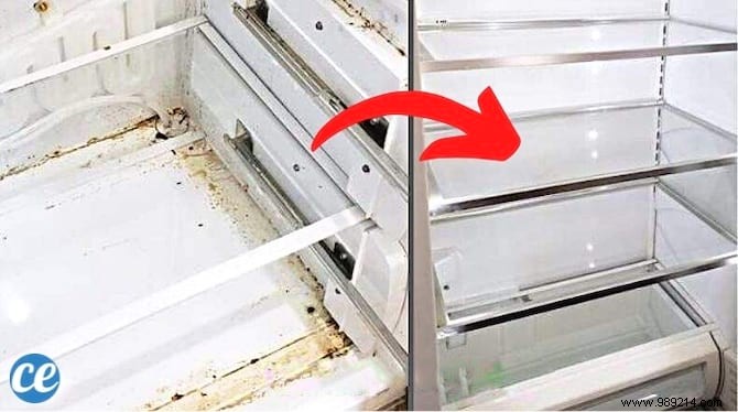 11 Proven Natural Tips for a Spotless, Bacteria-Free Fridge