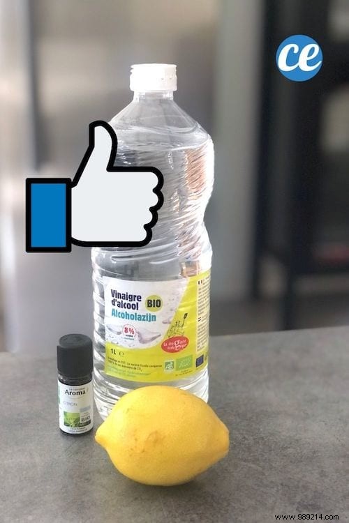 11 Proven Natural Tips for a Spotless, Bacteria-Free Fridge