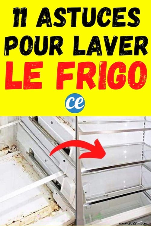 11 Proven Natural Tips for a Spotless, Bacteria-Free Fridge