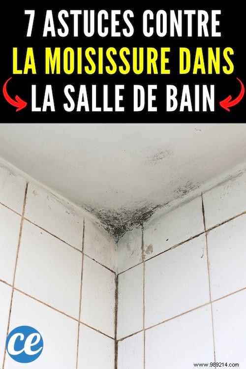 7 Proven Natural Ways to Eliminate Bathroom Mold Effectively