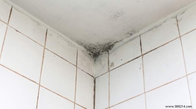 7 Proven Natural Ways to Eliminate Bathroom Mold Effectively