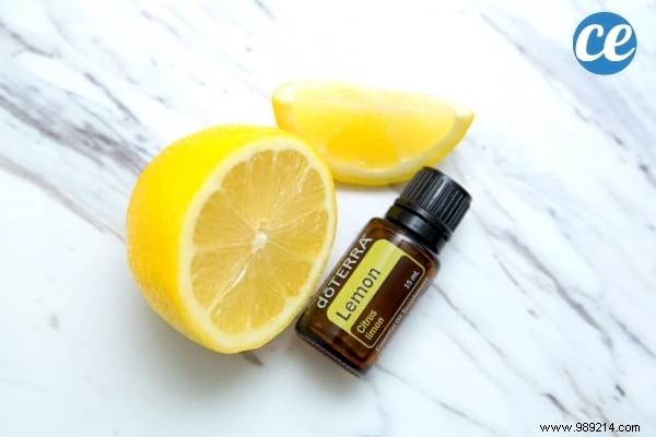 7 Proven Natural Ways to Eliminate Bathroom Mold Effectively